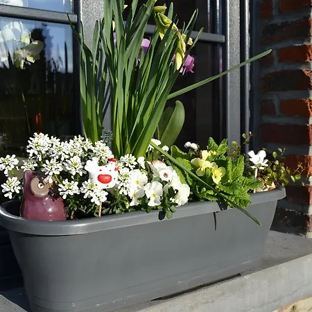 Σπίτι διακοπών Les *